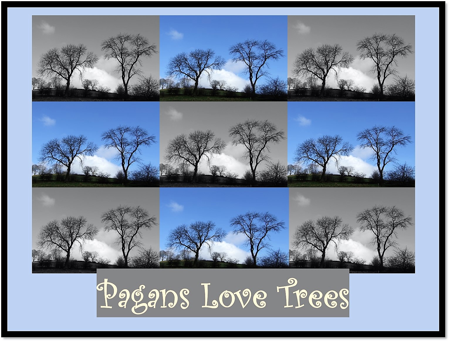 Pagans Love Trees.jpg